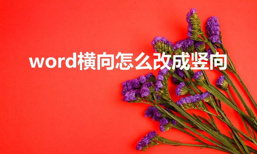 word横向怎么改成竖向（word文档横向怎么变成纵向）