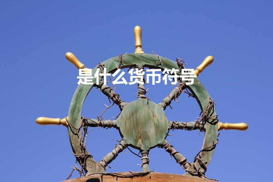 是什么货币符号（各国货币符号是什么）