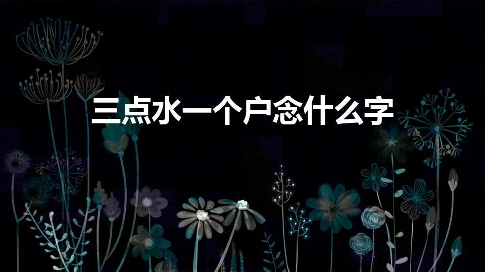 三点水一个户念什么字（三点水加户是什么字）