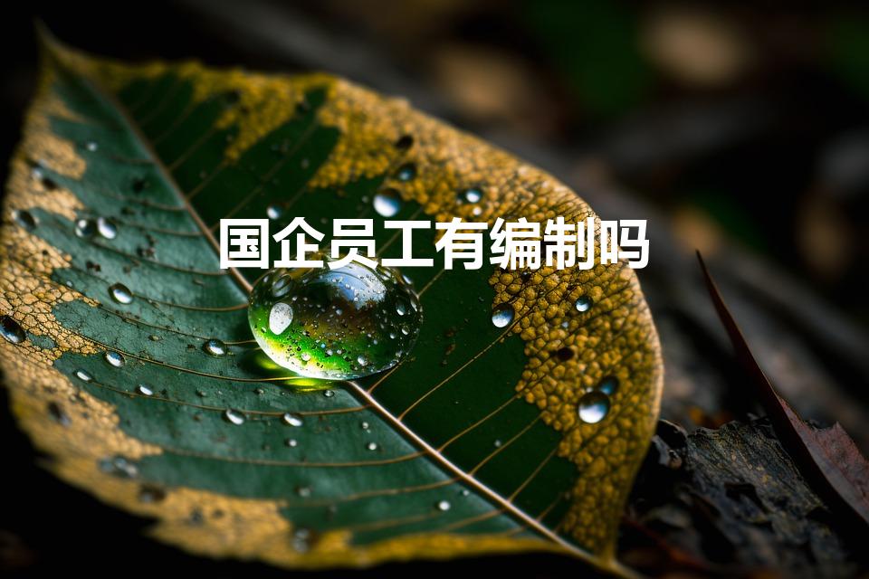 国企员工有编制吗（国企正式员工有编制吗）