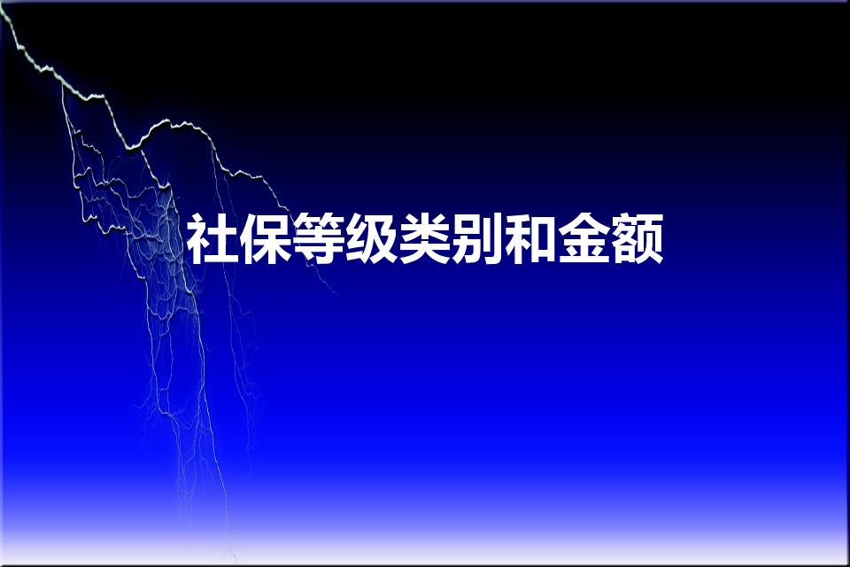 社保等级类别和金额（社保标准等级）