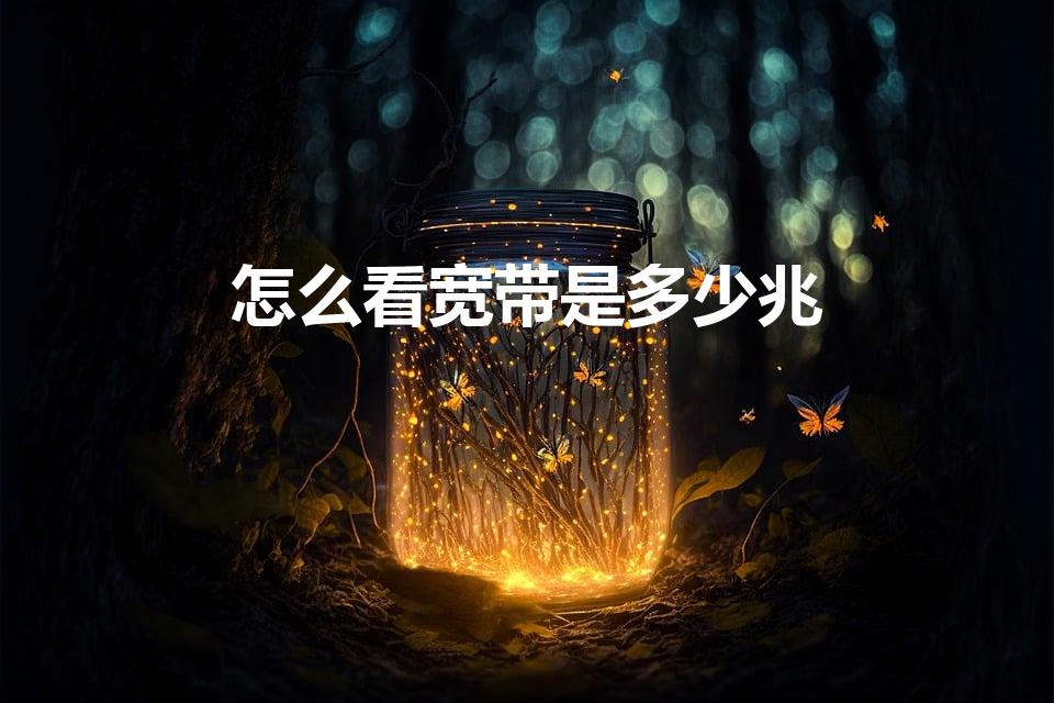 怎么看宽带是多少兆（宽带多少M是怎么查看的）