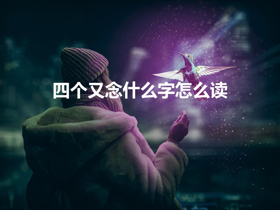 四个又念什么字怎么读（四个又这个字怎么念）