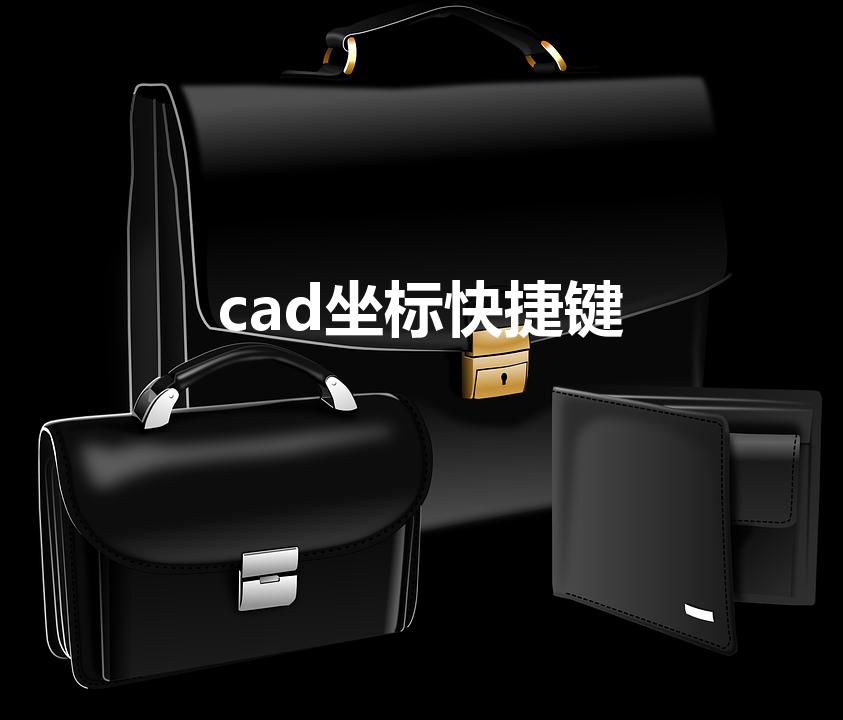 cad坐标快捷键（cad标注XY坐标快捷键）