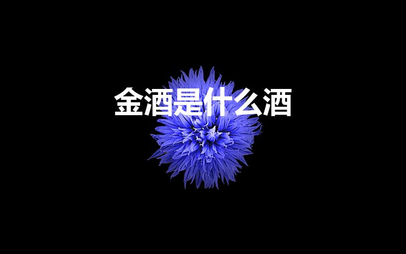 金酒是什么酒（金酒是什么酒 金酒简单介绍）