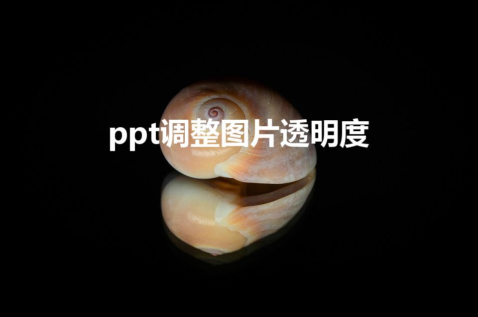 ppt调整图片透明度（ppt图片怎么调整透明度）