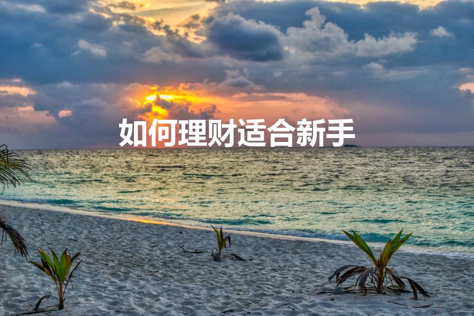 如何理财适合新手（对于一个新手来说,如何理财最好）