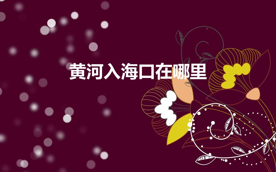 黄河入海口在哪里（黄河的入海口在哪里）