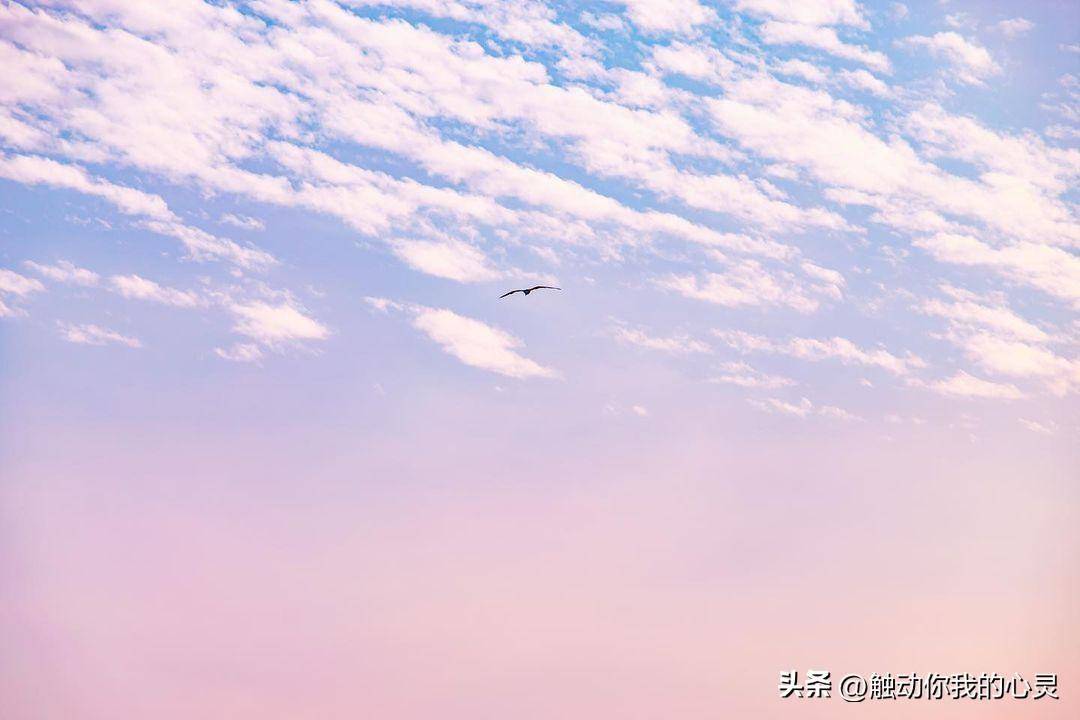 210d3ed5ddd840f7987ec1a472586261noop.image_-1 210d3ed5ddd840f7987ec1a472586261noop.image_-1