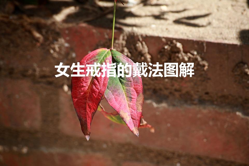 女生戒指的戴法图解（戒指的戴法和意义十个手指女）