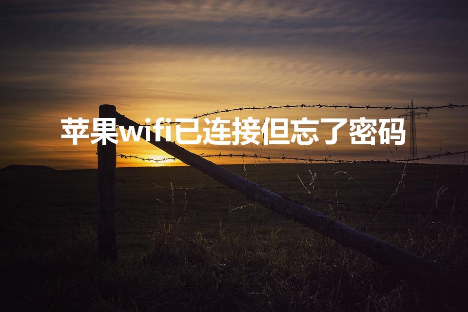 苹果wifi已连接但忘了密码