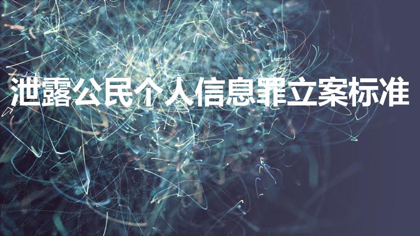 泄露公民个人信息罪立案标准（泄露个人隐私怎么定罪）