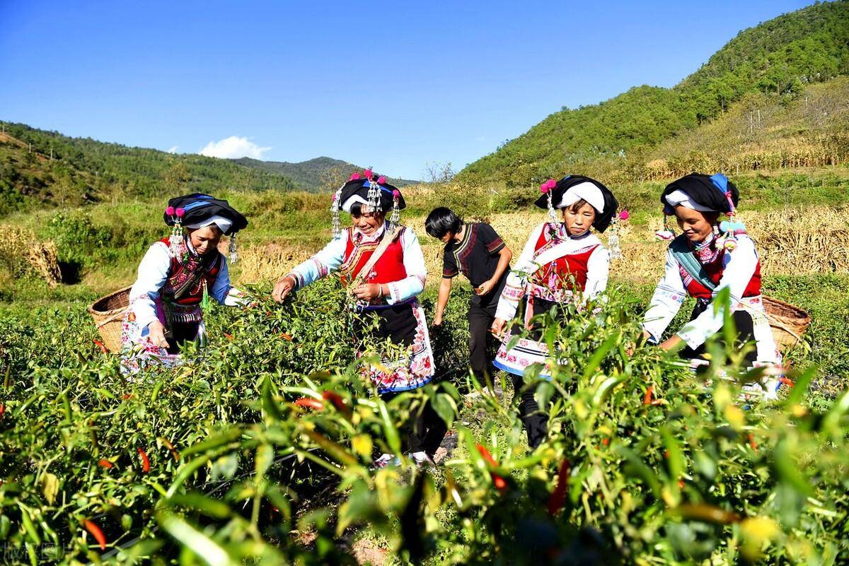 销售人员管理制度有哪些？提升业绩的方法和策略