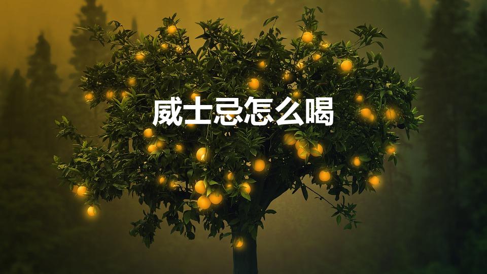 威士忌怎么喝（威士忌的饮用方法）