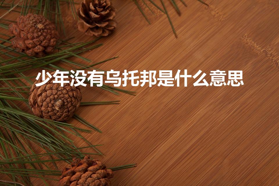 少年没有乌托邦是什么意思（少年没有乌托邦是什么梗）
