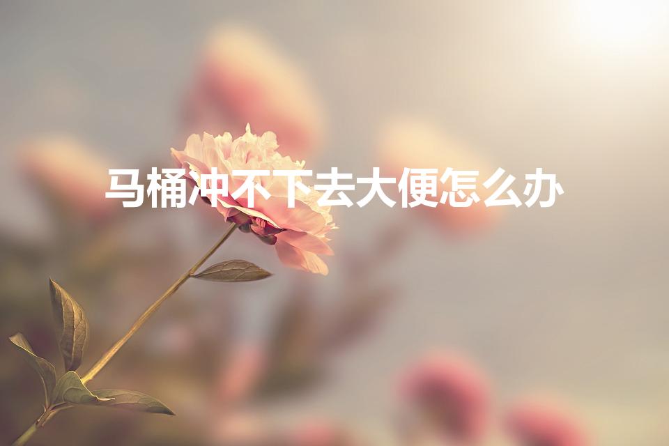马桶冲不下去大便怎么办（大便粘马桶上冲不下去怎么办）
