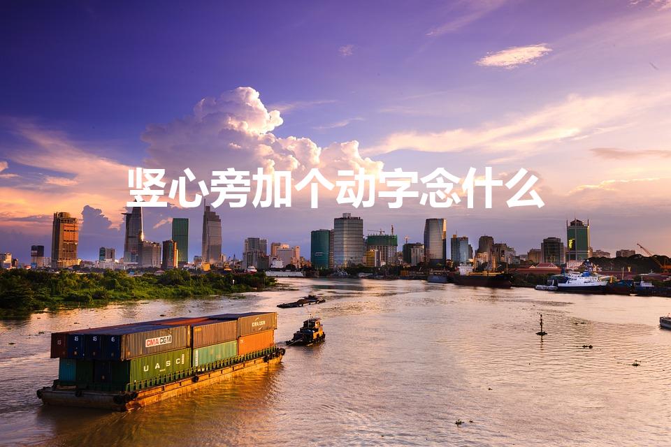 竖心旁加个动字念什么（竖心旁加动读什么）