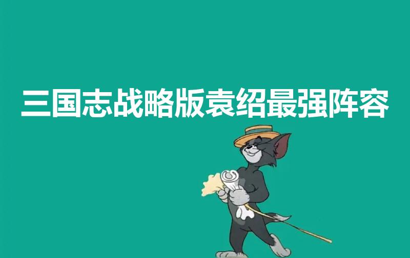 三国志战略版袁绍最强阵容（三国志战略版s1最强阵容）