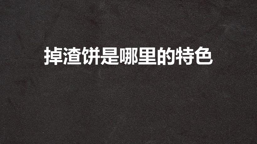 掉渣饼是哪里的特色（掉渣 是哪里的美食）