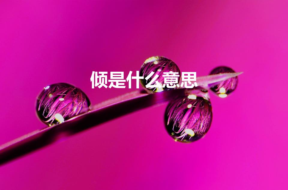 倾是什么意思（倾的意思解释）