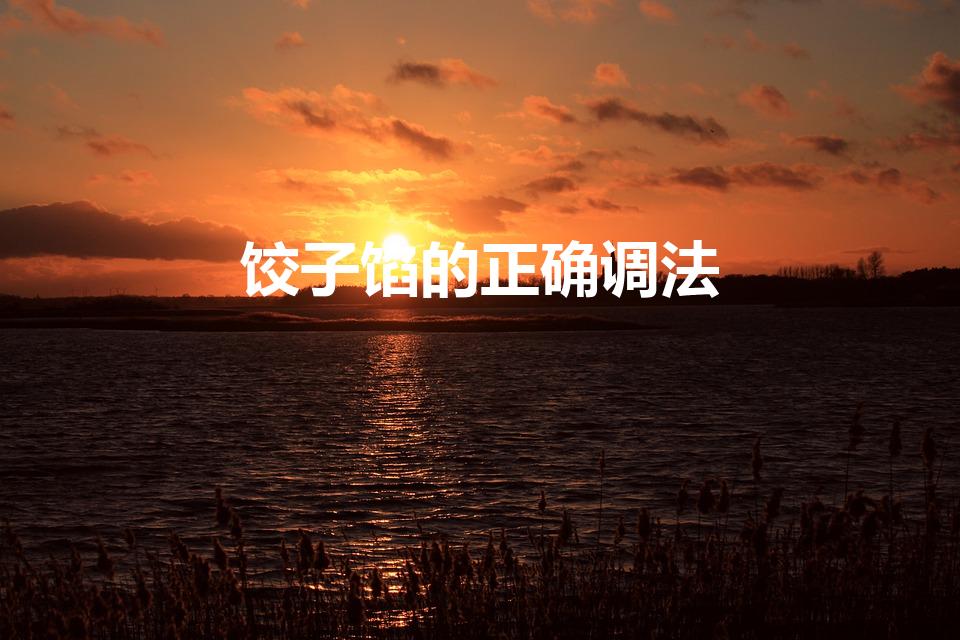 饺子馅的正确调法（怎样调饺子馅）