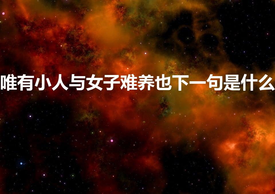唯有小人与女子难养也下一句是什么