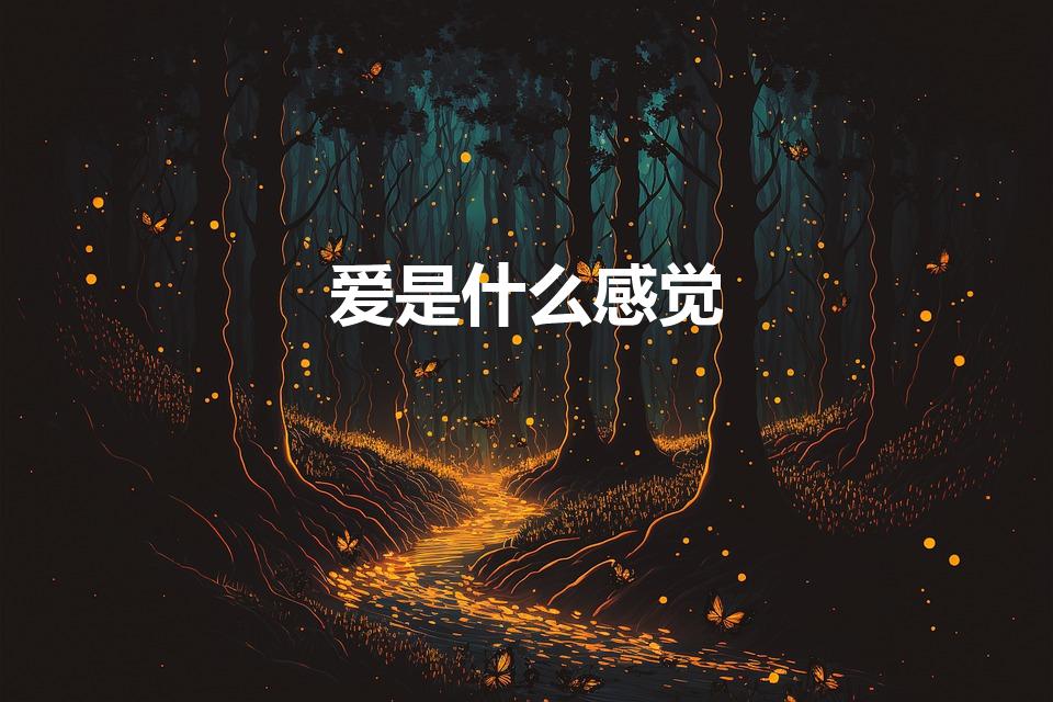 爱是什么感觉（爱是什么样的感觉）