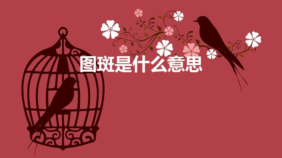 图斑是什么意思（农村建房图斑是什么意思）