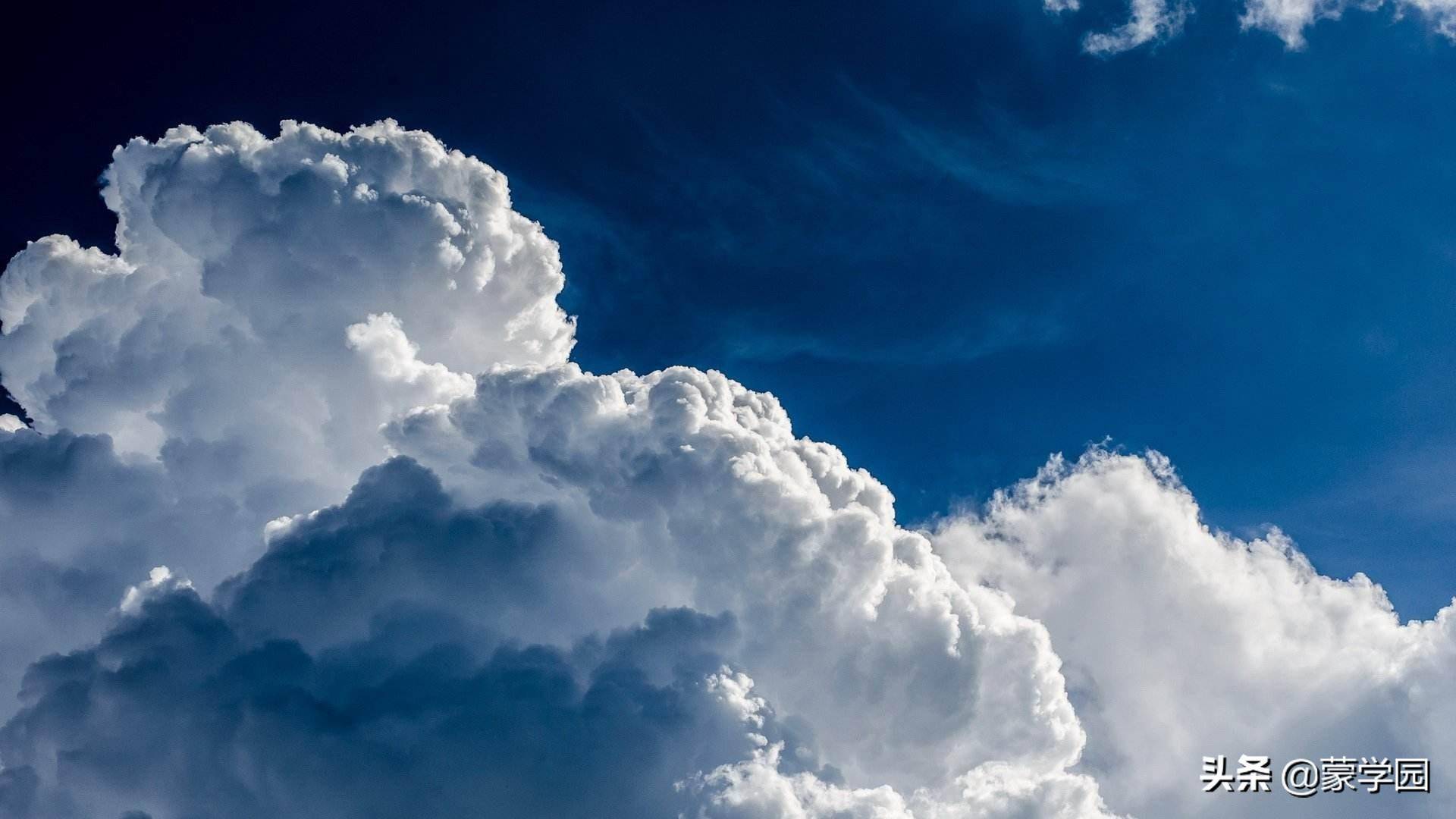 caca49e29f3544c680991548b6066bafnoop.image_ caca49e29f3544c680991548b6066bafnoop.image_