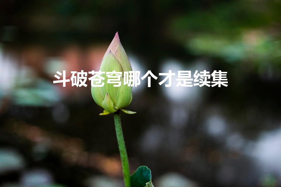 斗破苍穹哪个才是续集（斗破苍穹续集有哪些）