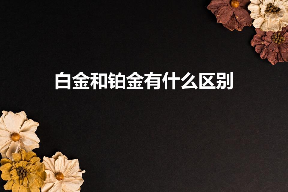 白金和铂金有什么区别（白金与铂金区别是什么）