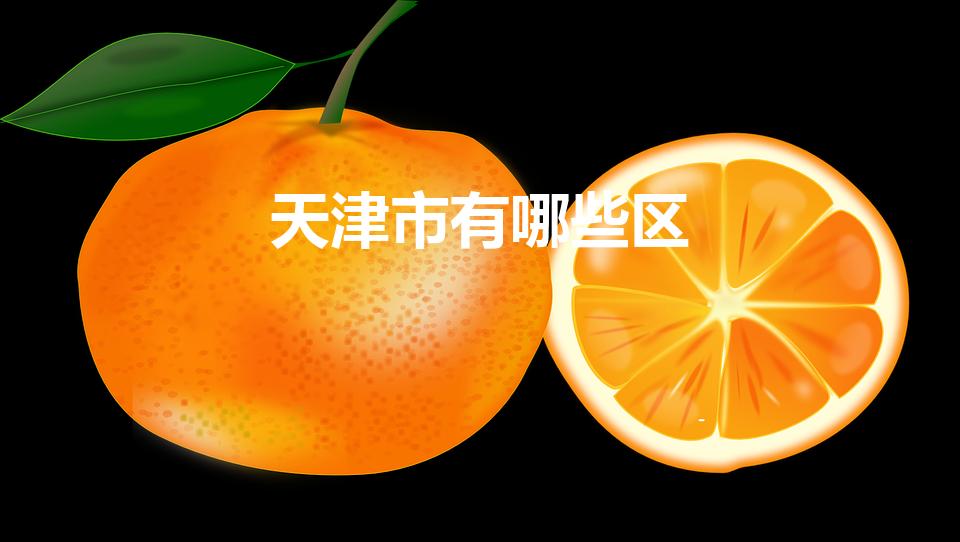 天津市有哪些区（天津有哪些区）