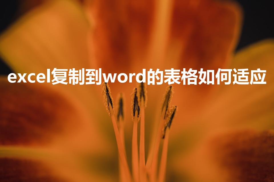 excel复制到word的表格如何适应