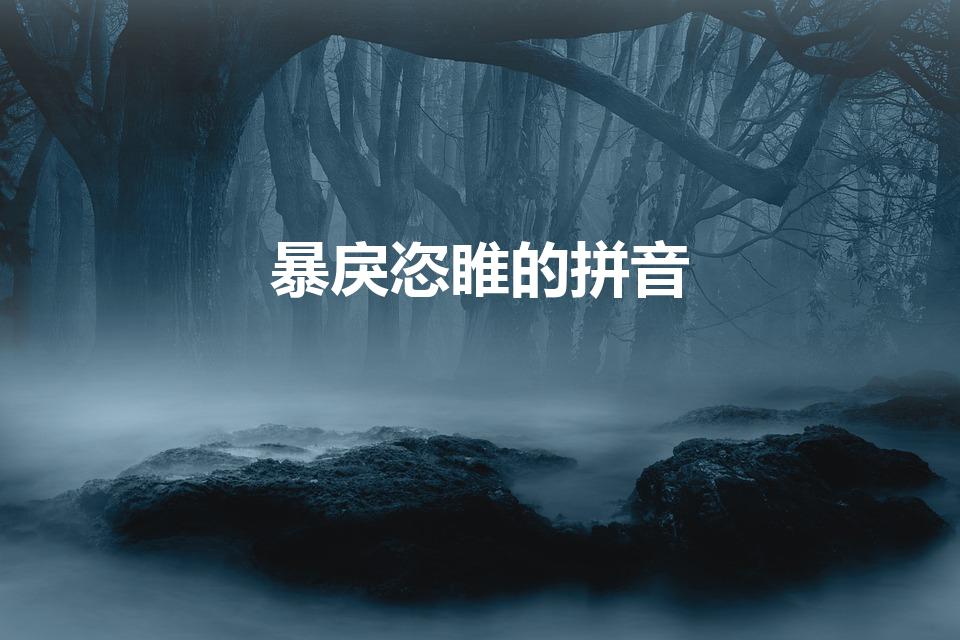 暴戾恣睢的拼音（暴戾恣睢怎么读）