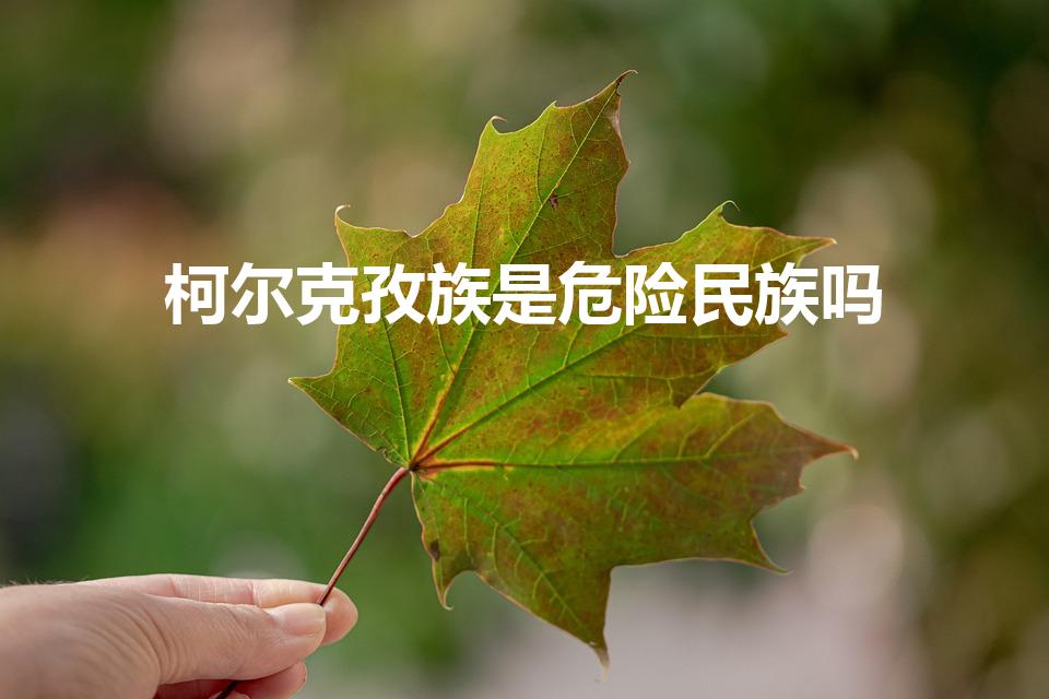 柯尔克孜族是危险民族吗（柯尔克孜族概况）