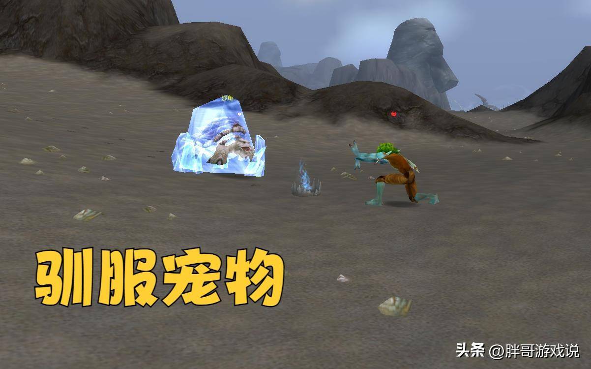 魔兽世界猎人宠物排名？盘点最厉害的宠物推荐