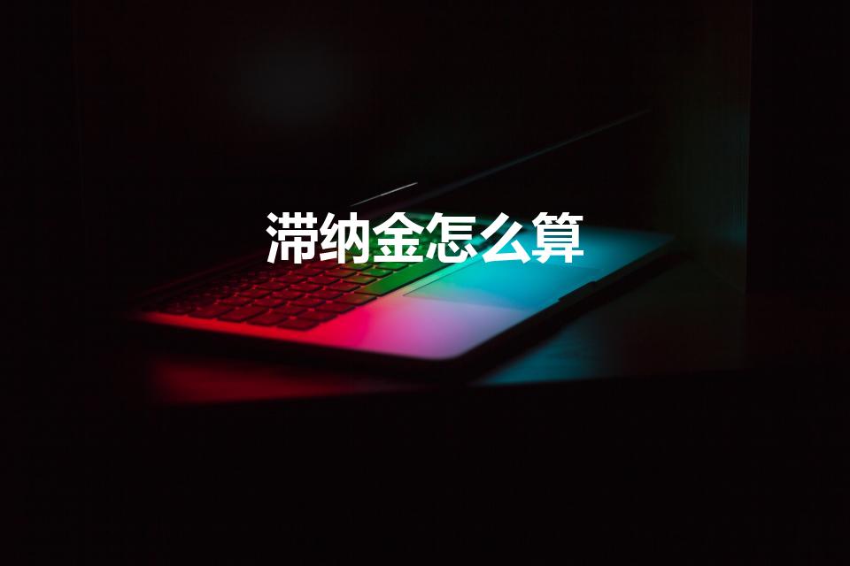 滞纳金怎么算（滞纳金应该怎么算）