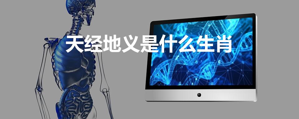 天经地义是什么生肖（天经地义指什么生肖）