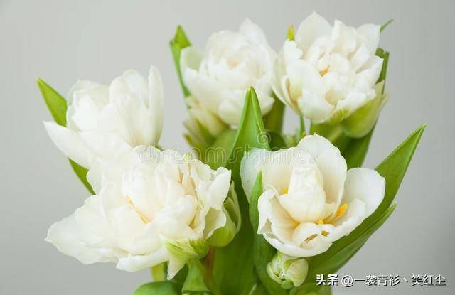 50a4fb1a600f48fe840687fb26849ec3noop.image_ 50a4fb1a600f48fe840687fb26849ec3noop.image_