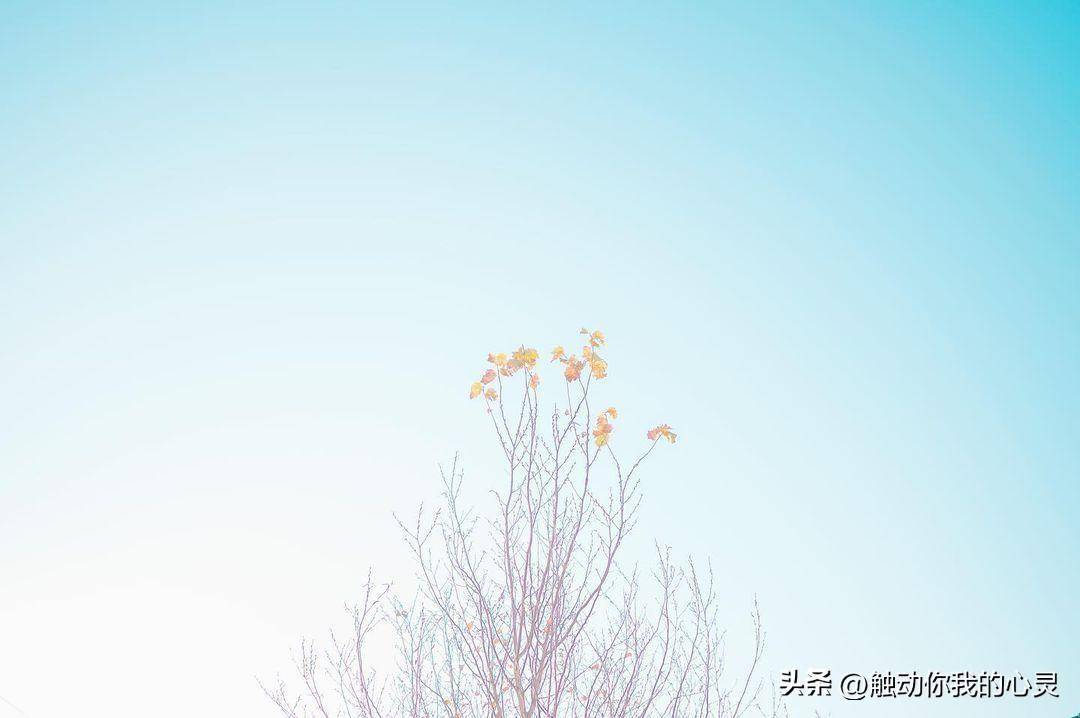 c5476c5204c042dfb902e6207a17b338noop.image_-1 c5476c5204c042dfb902e6207a17b338noop.image_-1