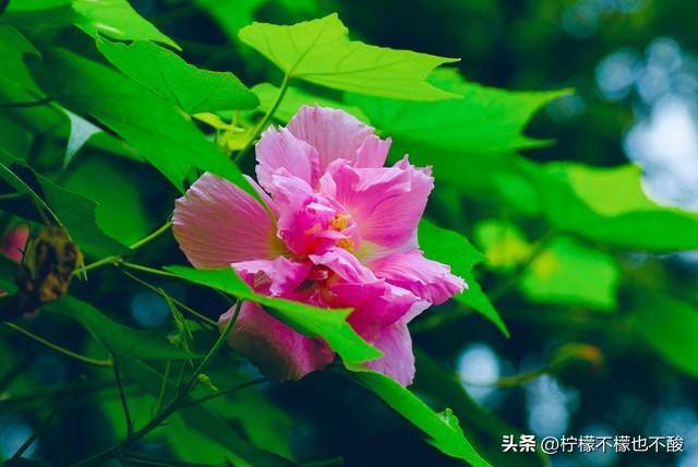 c59d52f5f7574153be6e7faf79913fa4noop.image_ c59d52f5f7574153be6e7faf79913fa4noop.image_