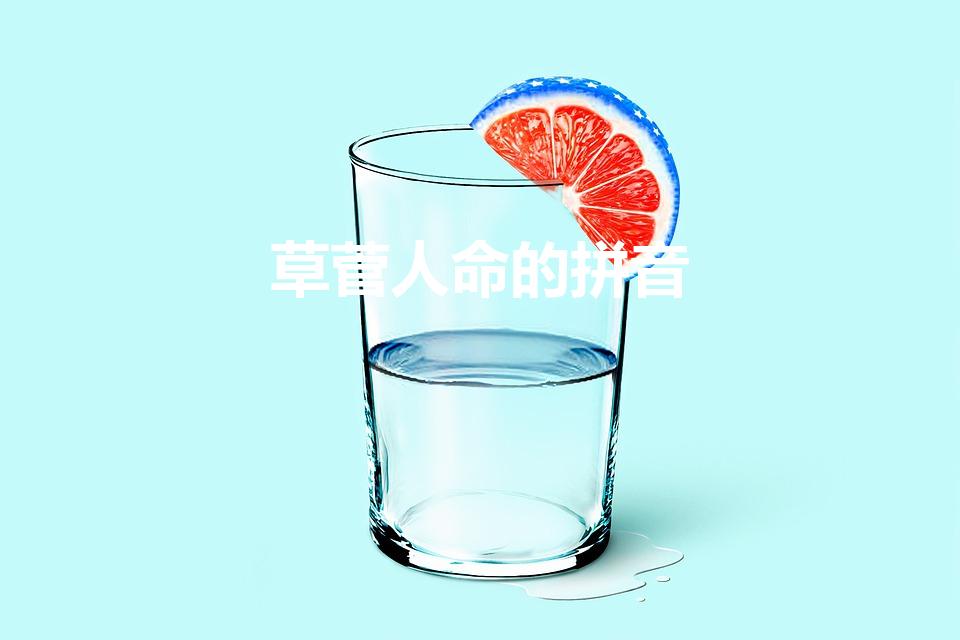 草菅人命的拼音（草菅人命的意思是什么）