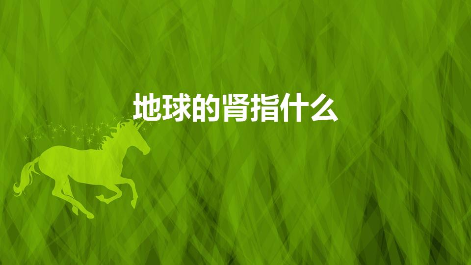 地球的肾指什么（地球之肾指的是什么 地球之肾指的是啥）