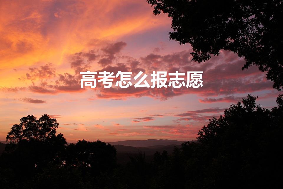 高考怎么报志愿（高考怎么报考志愿）