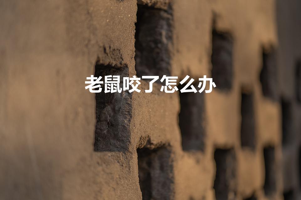 老鼠咬了怎么办（老鼠咬了怎么处理）