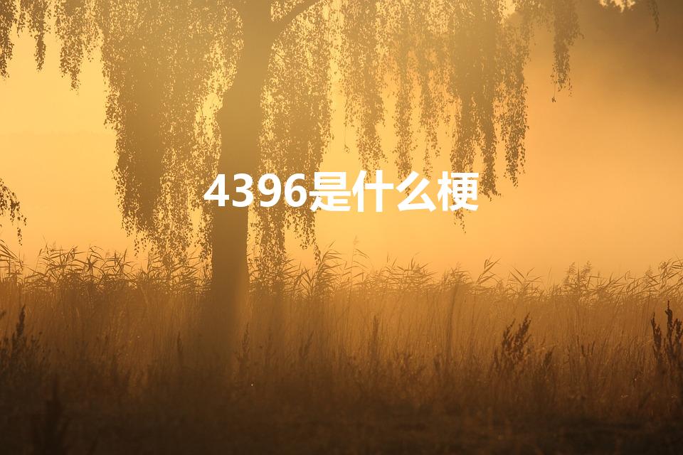 4396是什么梗（4396yoga7什么梗）