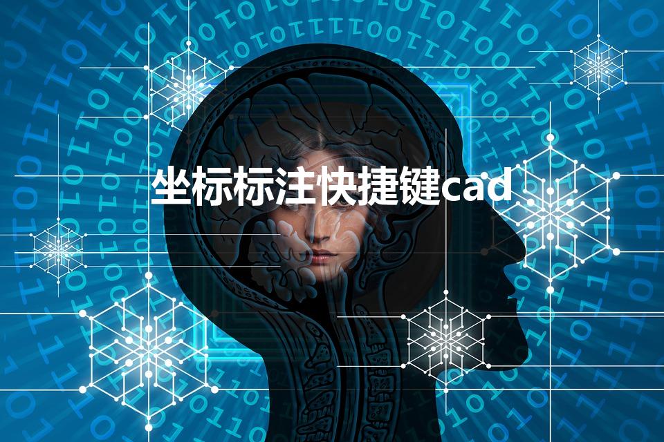 坐标标注快捷键cad（CAD标注的快捷键）