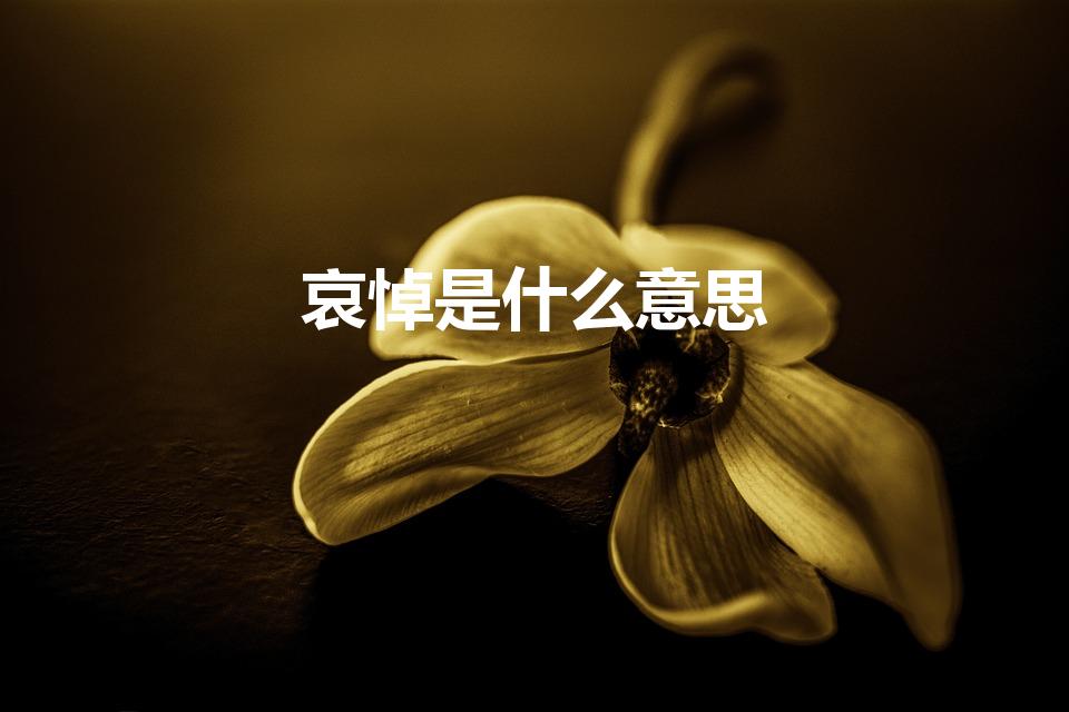 哀悼是什么意思