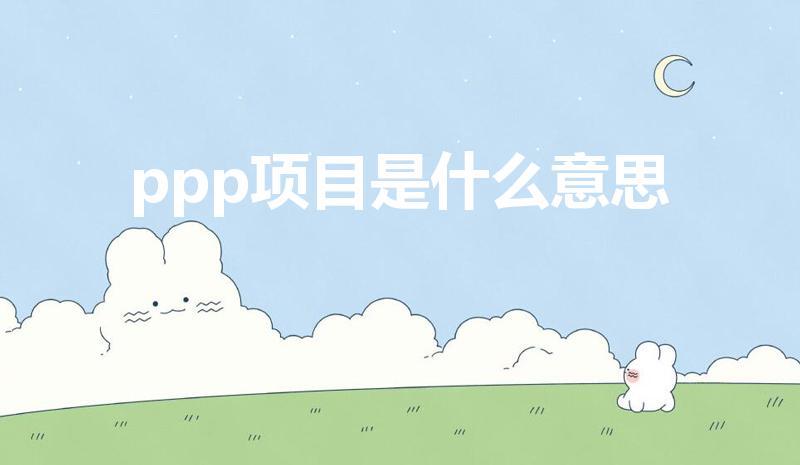 ppp项目是什么意思（PPP是什么意思）
