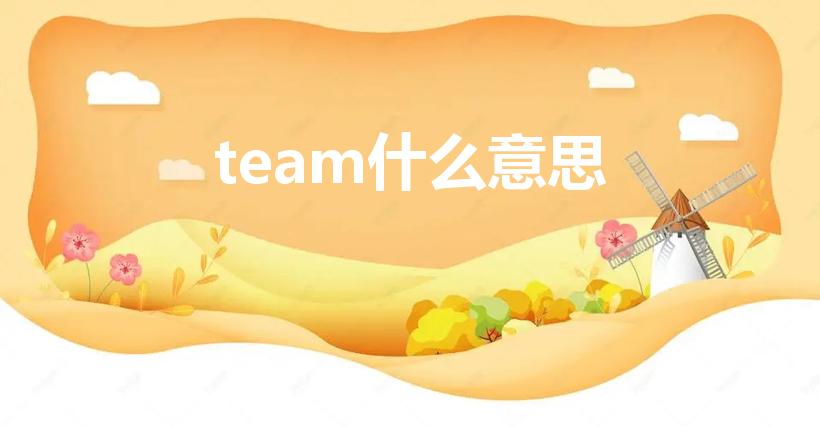 team什么意思（team的意思）